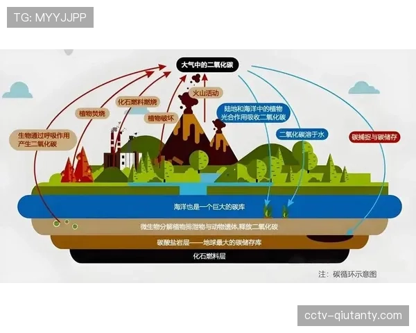 碳中和目标下的技术路径：英超场馆的太阳能与动能回收系统